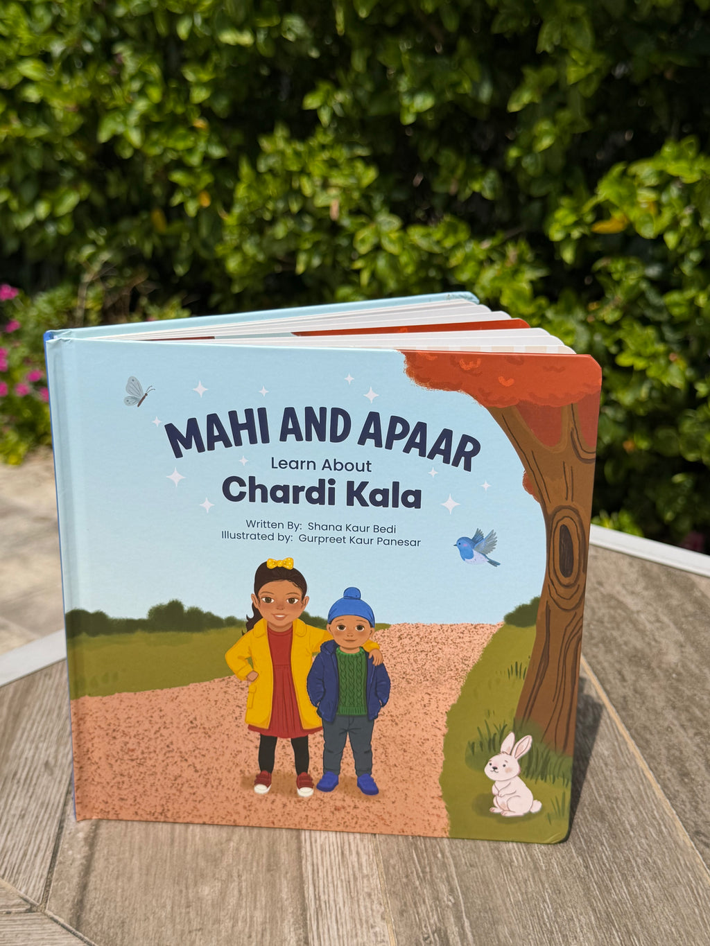 Mahi and Apaar: Learn About Chardi Kala | Children's Book - Pre-order