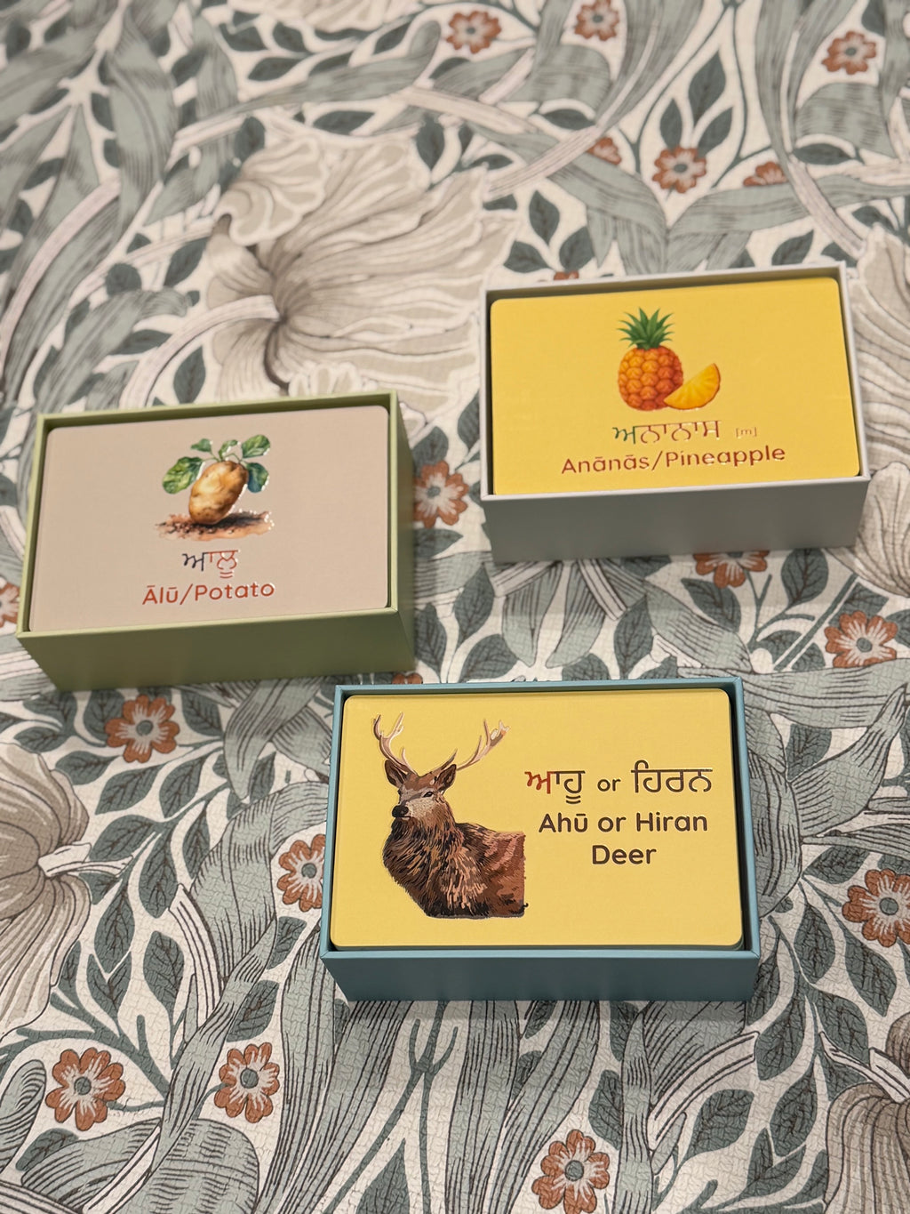 Peynti Akhar Fruits (Fal), Vegetables (Sabjiyan), and Jaanvar (Animals) Flashcards Bundle