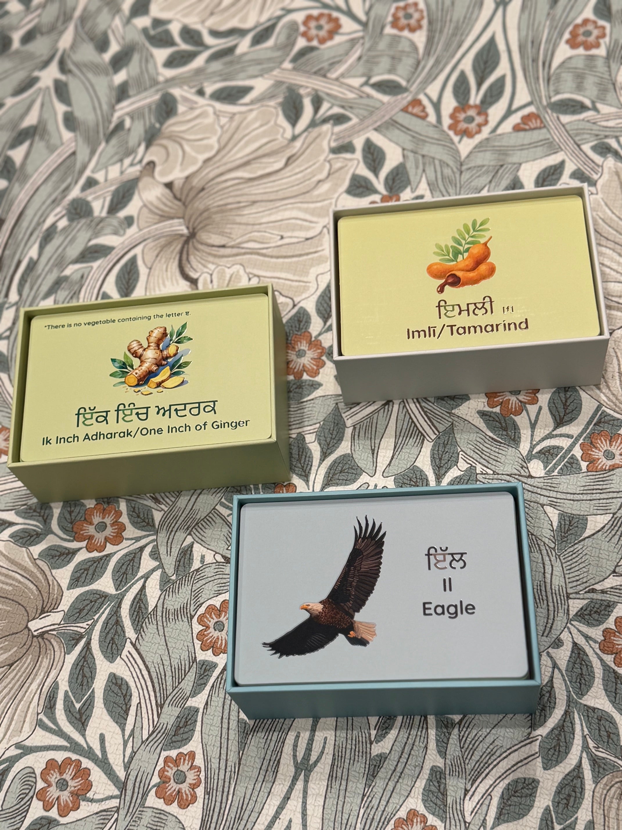 Peynti Akhar Fruits (Fal), Vegetables (Sabjiyan), and Jaanvar (Animals) Flashcards Bundle
