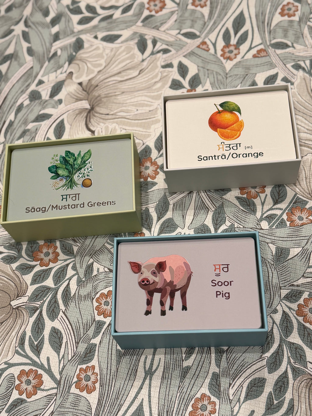 Peynti Akhar Fruits (Fal), Vegetables (Sabjiyan), and Jaanvar (Animals) Flashcards Bundle