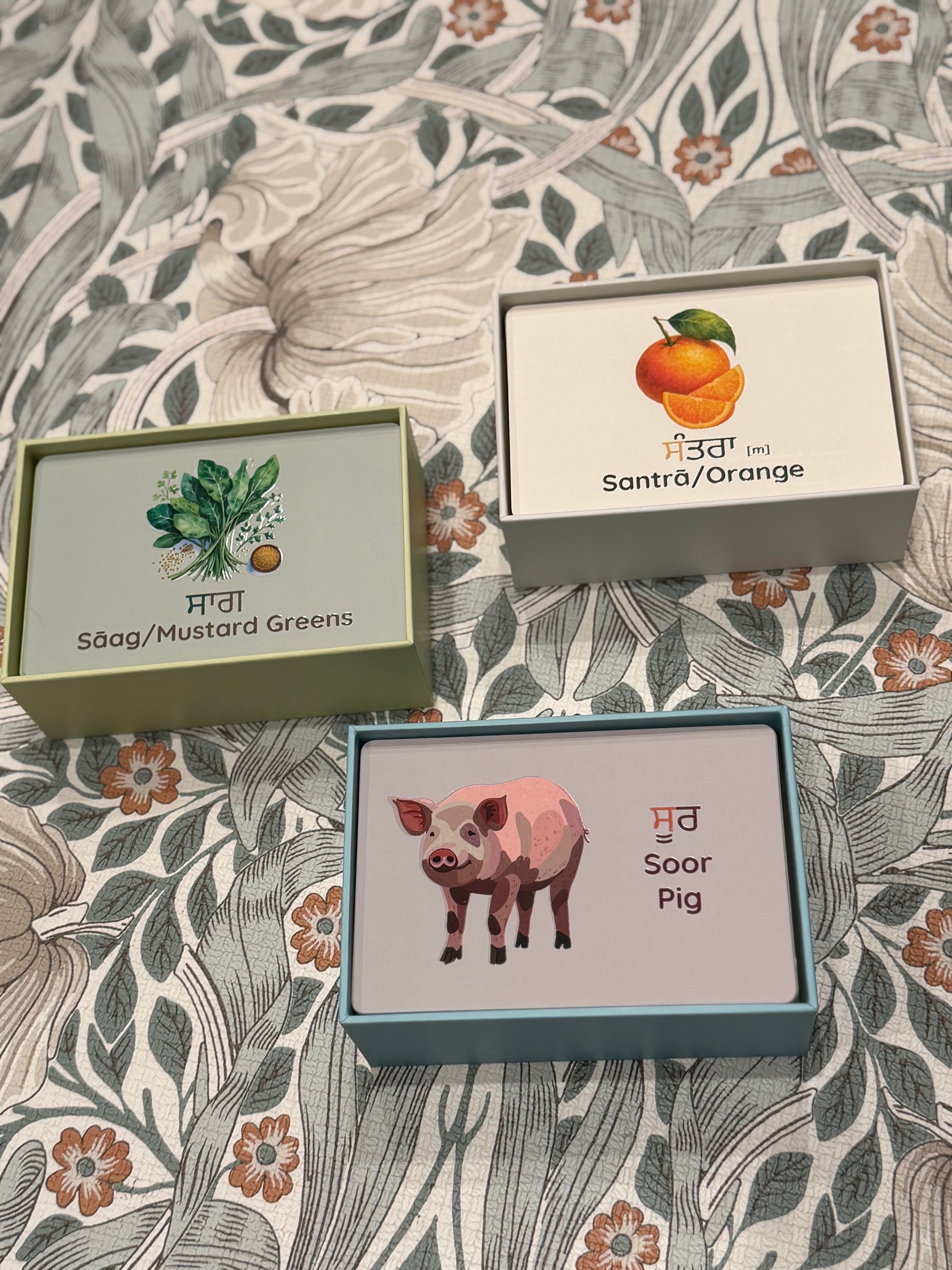 Peynti Akhar Fruits (Fal), Vegetables (Sabjiyan), and Jaanvar (Animals) Flashcards Bundle