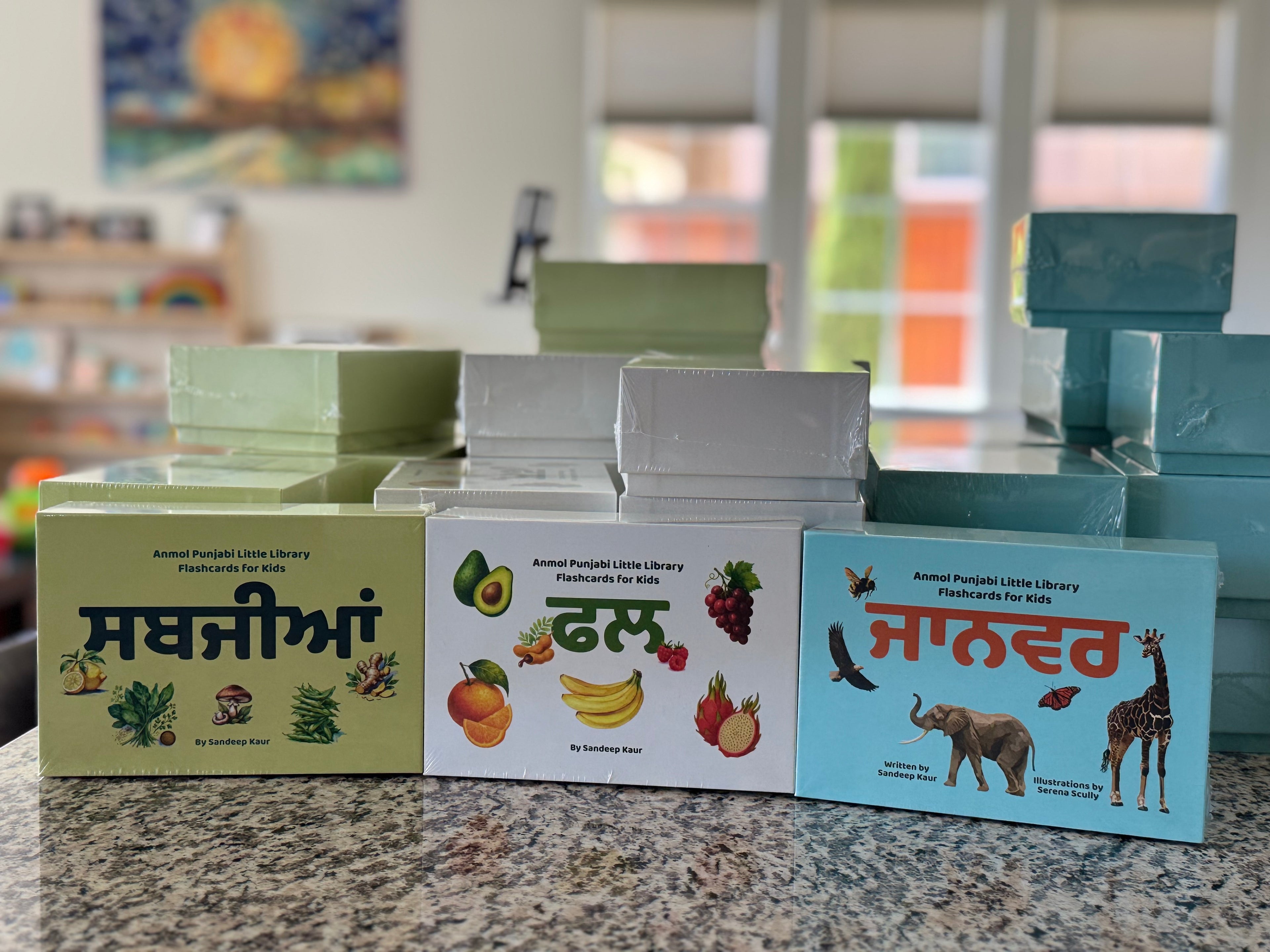Board Books and Flashcards Set Bundle | Learn Punjabi & Vocabulary