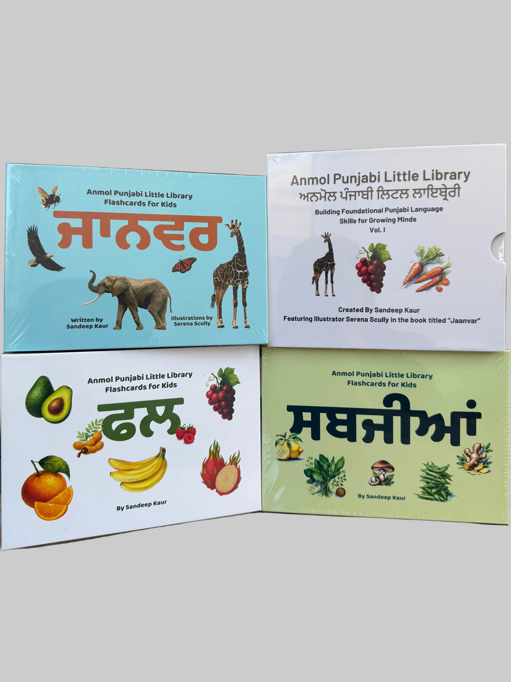 Board Books and Flashcards Set Bundle | Learn Punjabi & Vocabulary