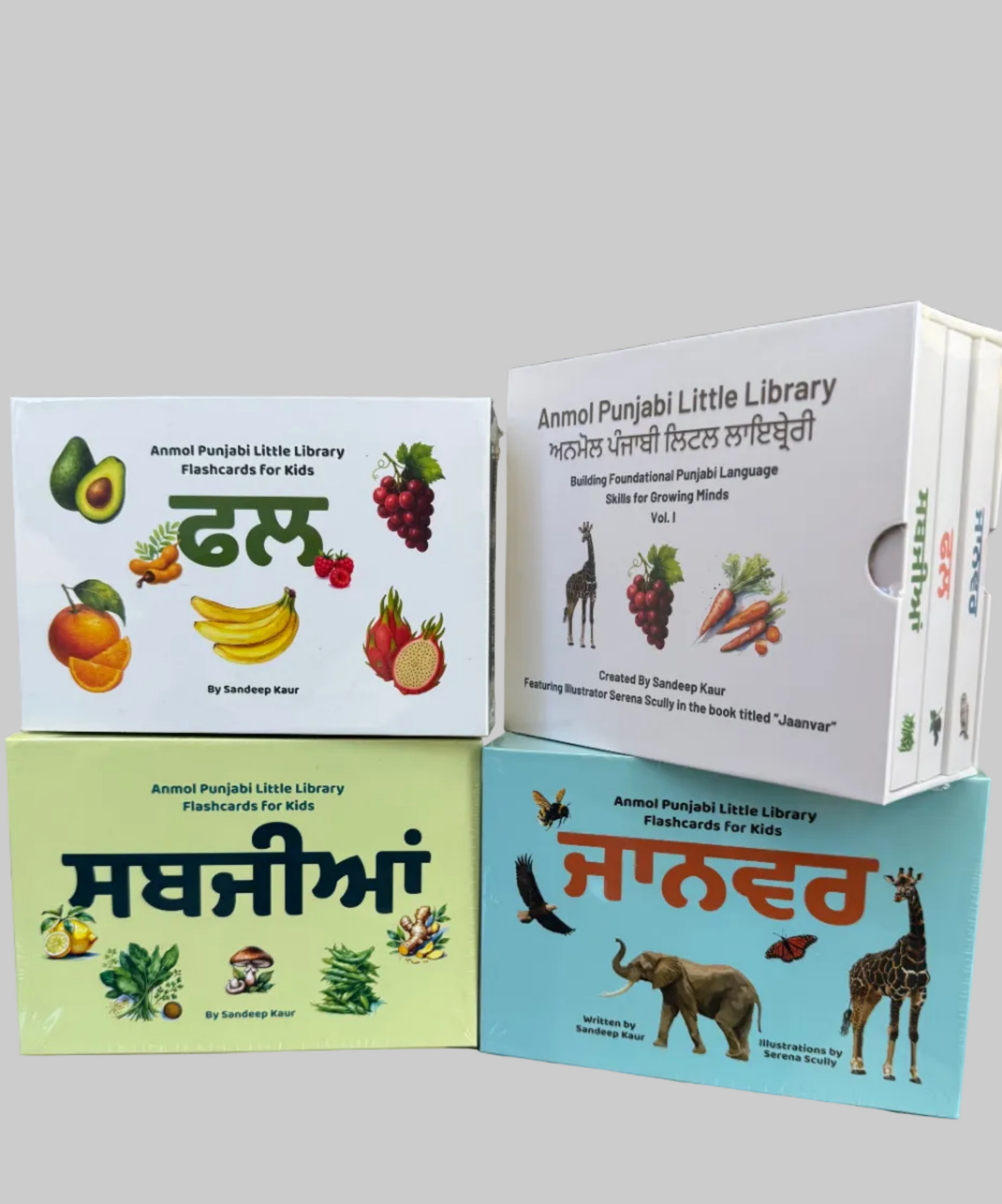 Board Books and Flashcards Set Bundle | Learn Punjabi & Vocabulary