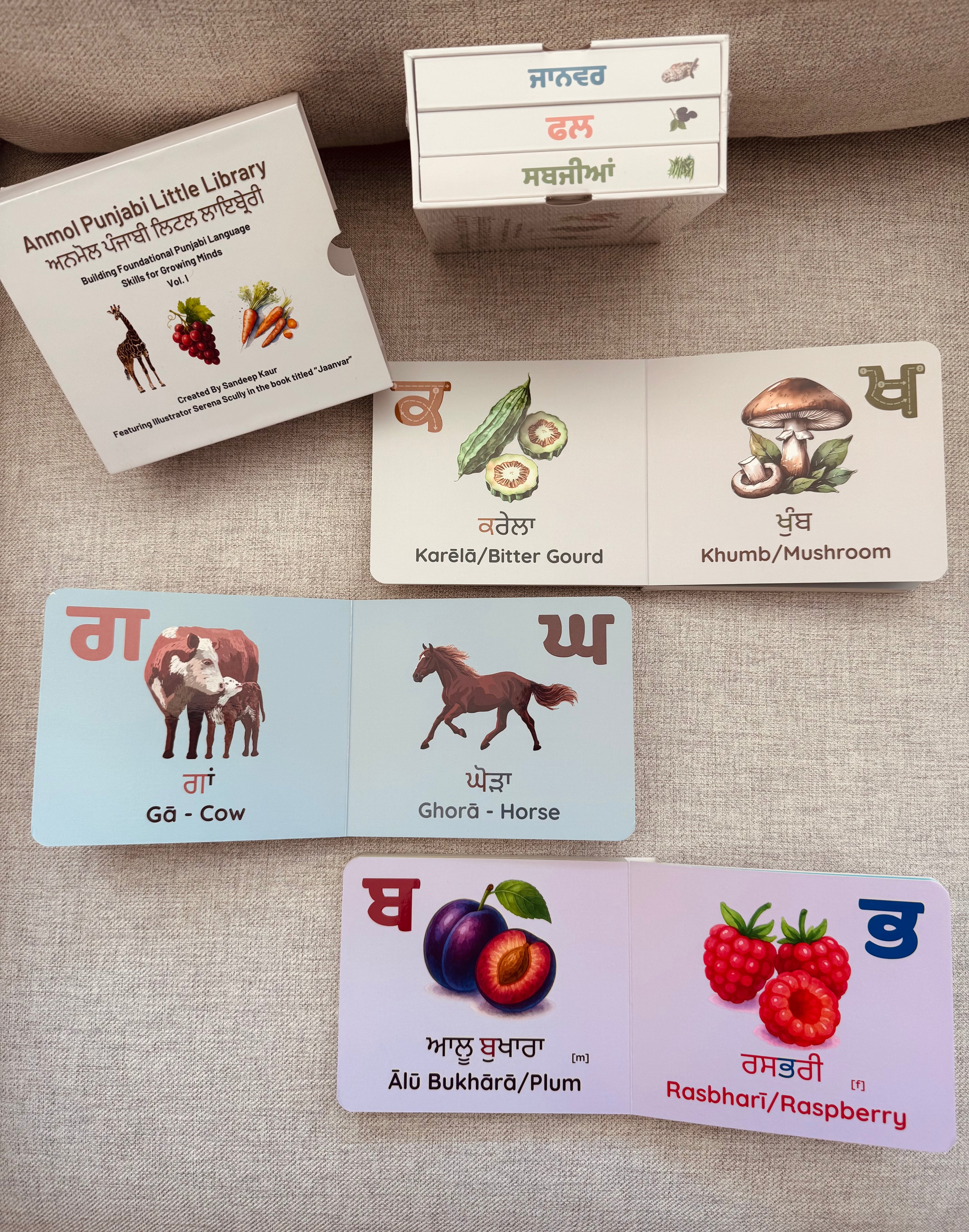 The Everything Bundle | Ultimate Punjabi Learning Package | Textbook, Workbook, Teacher Copy, Flashcards, and Board Books | Learn Gurmukhi, Punjabi Vocabulary, Reading & Writing Practice, Grammar, Culture, and More!