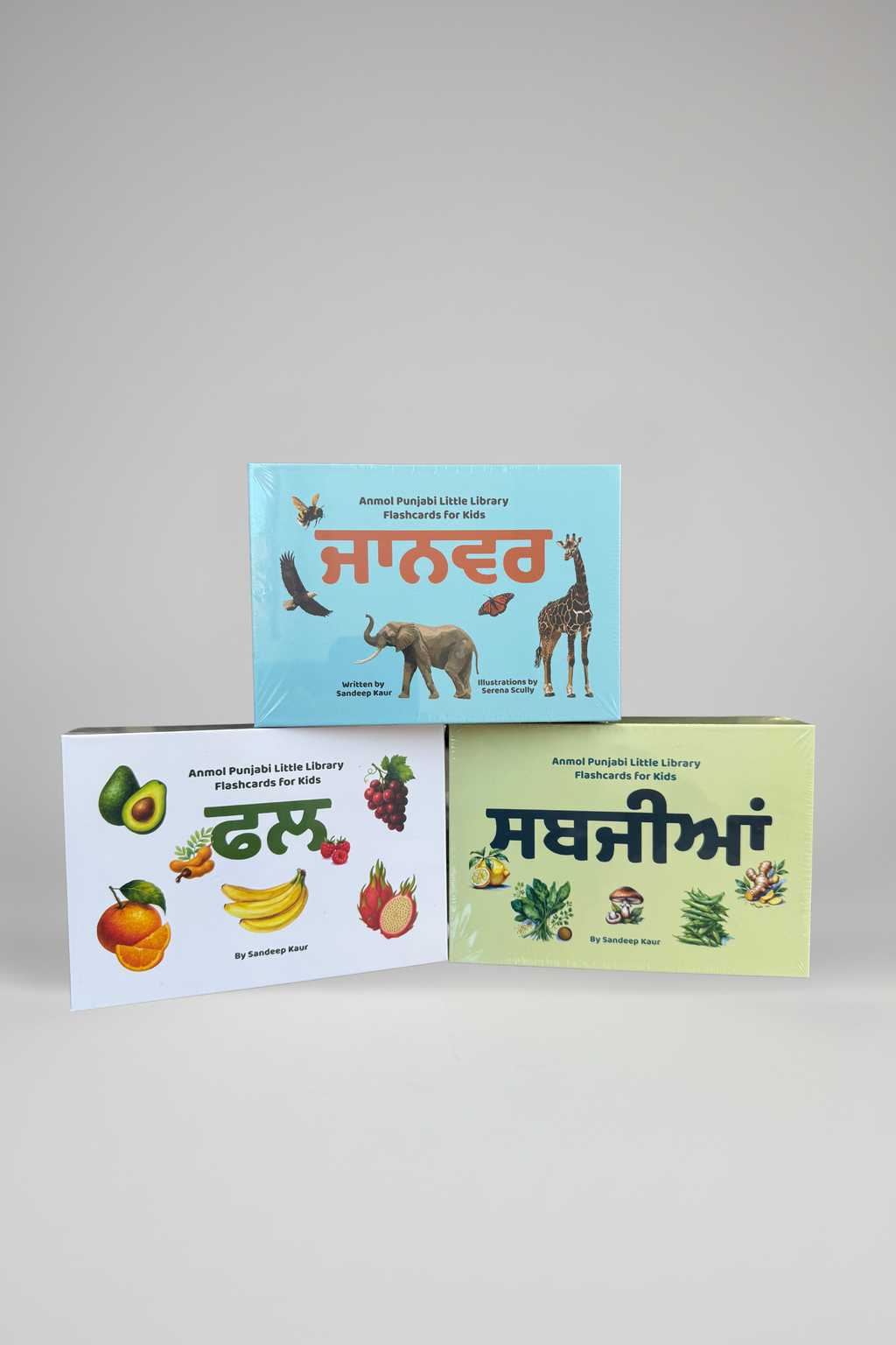 Punjabi Flashcard Bundle | Fal, Sabjiyan & Jaanvar Sets