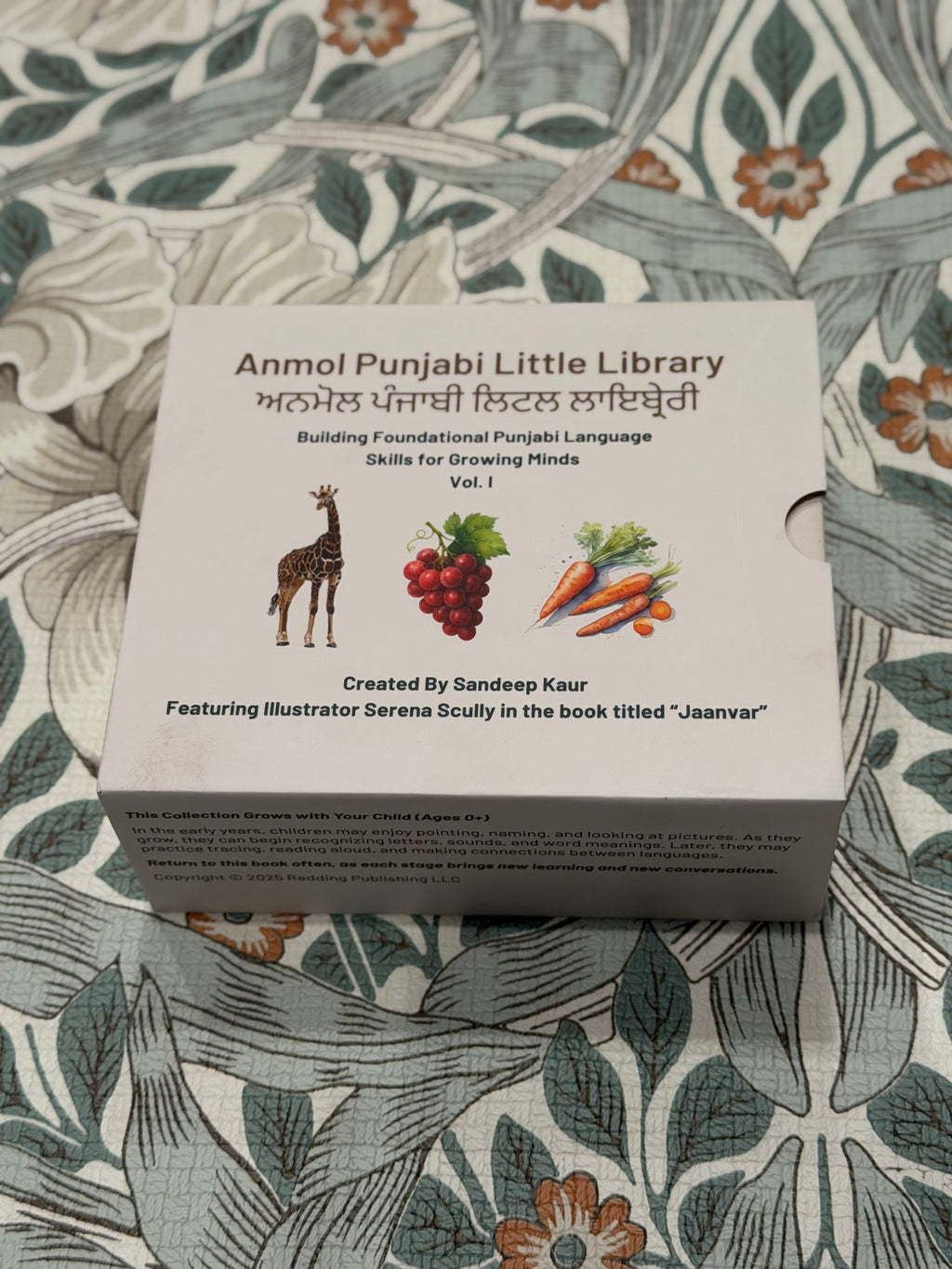 Board Book Set - Fal (Fruits), Sabjiyan (Vegetables), Jaanvar (Animals) image 0