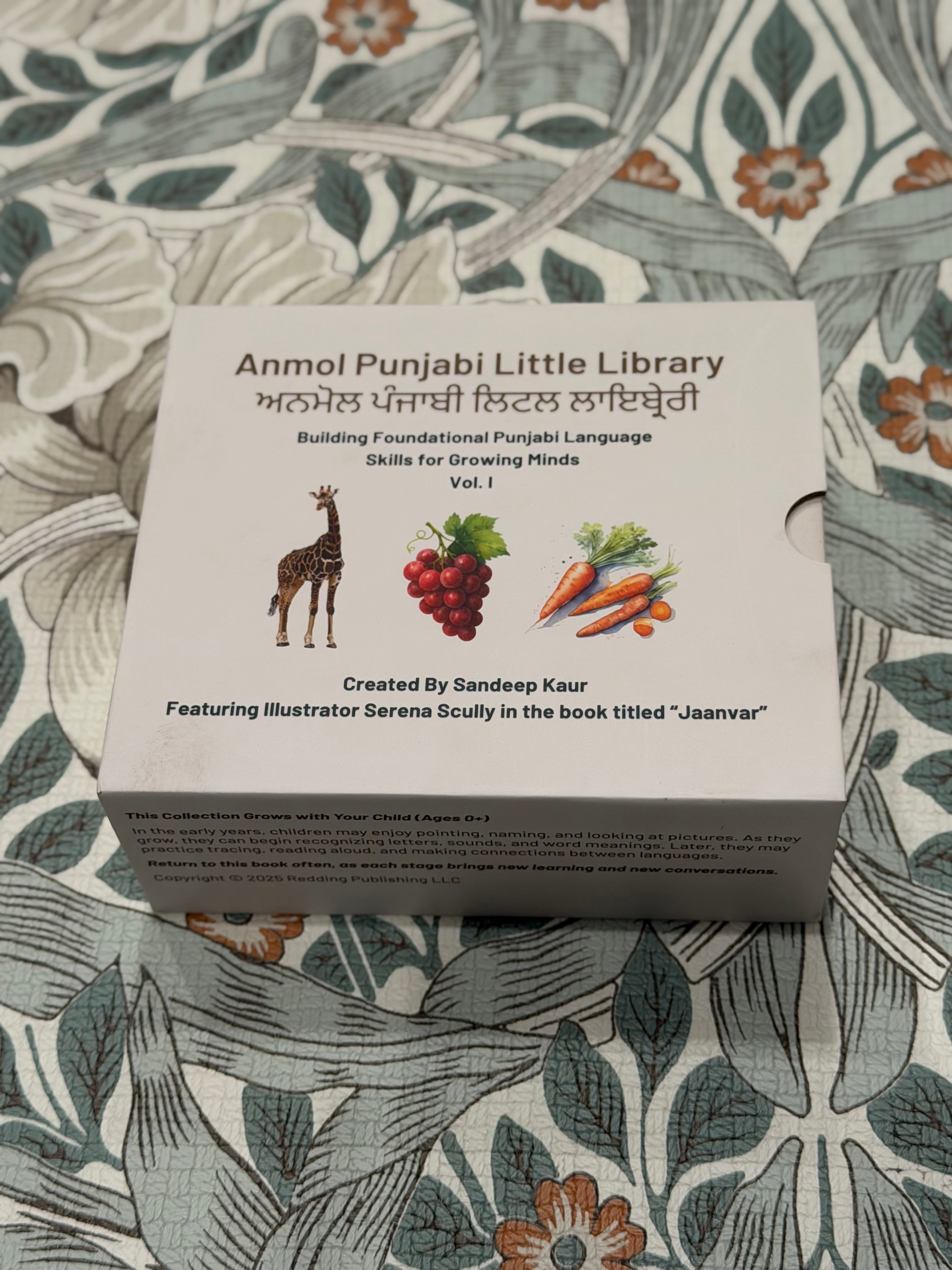 Board Book Set - Fal (Fruits), Sabjiyan (Vegetables), Jaanvar (Animals) image 0